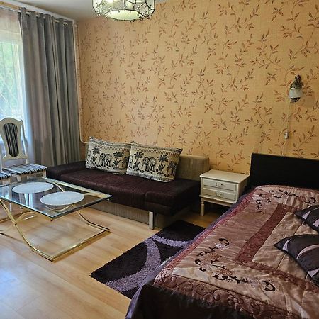 Apartmán Vieno Kambario Butas Su Balkonu Kaunas Exteriér fotografie