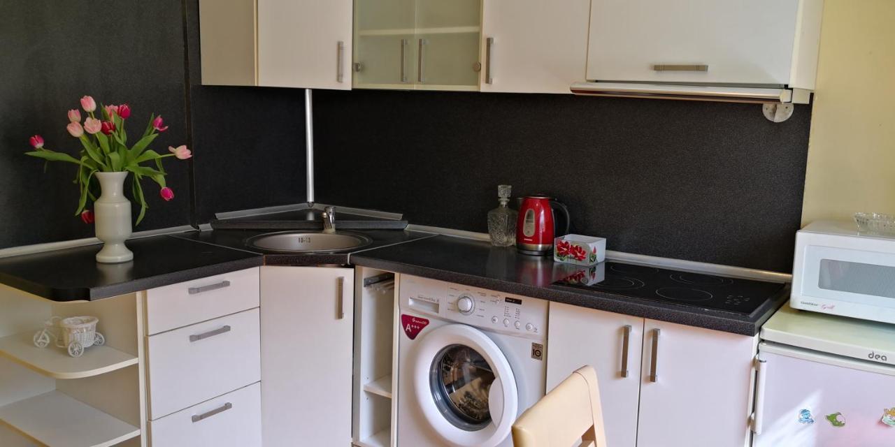 Apartmán Vieno Kambario Butas Su Balkonu Kaunas Exteriér fotografie